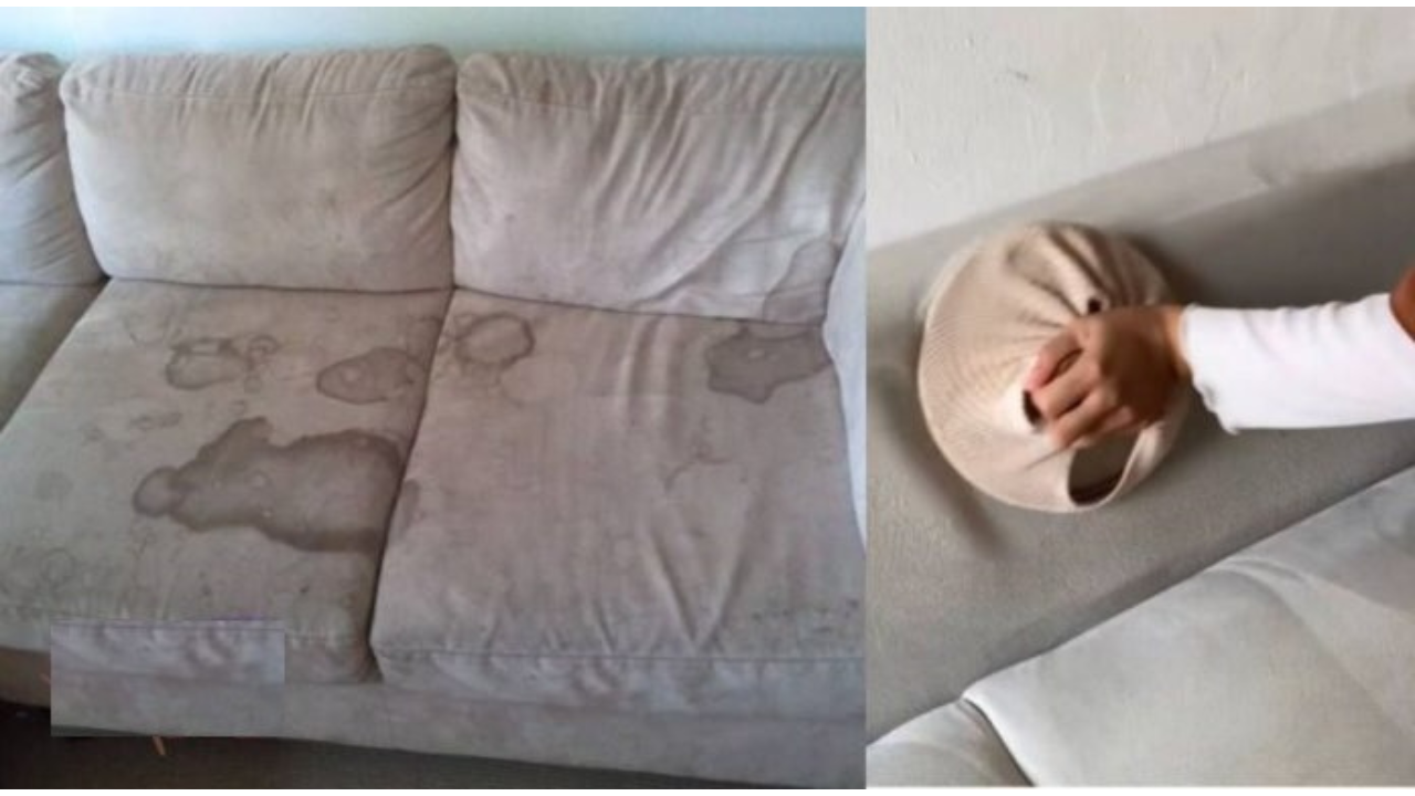 cuci sofa